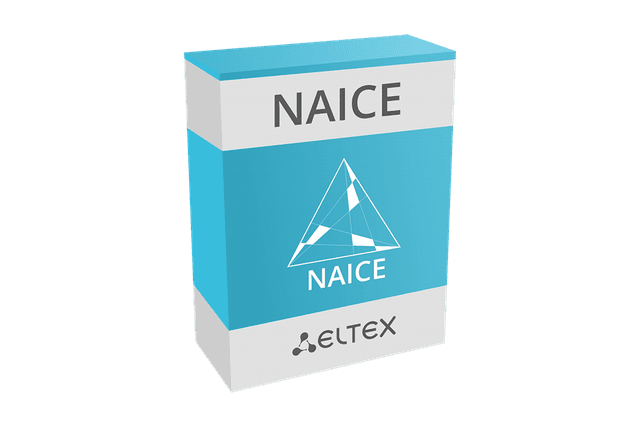 NAICE | Система контроля доступа