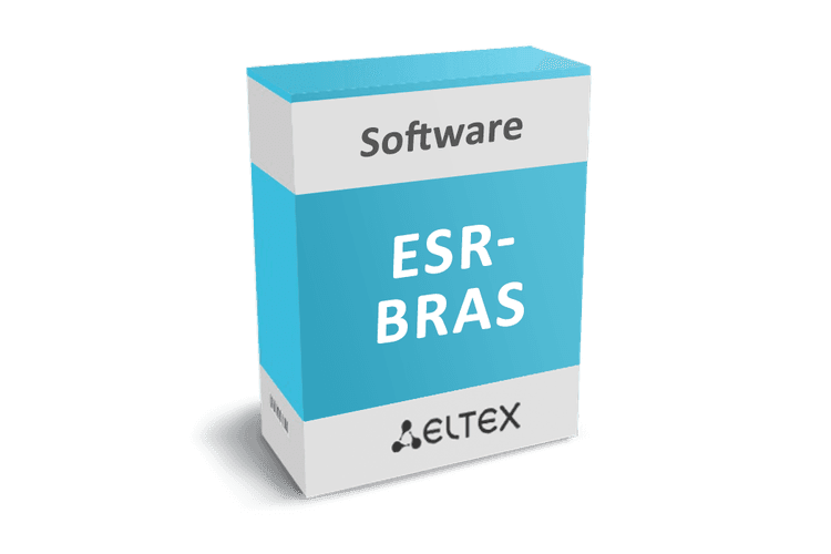 ESR-BRAS | Опция ПО Eltex ESR